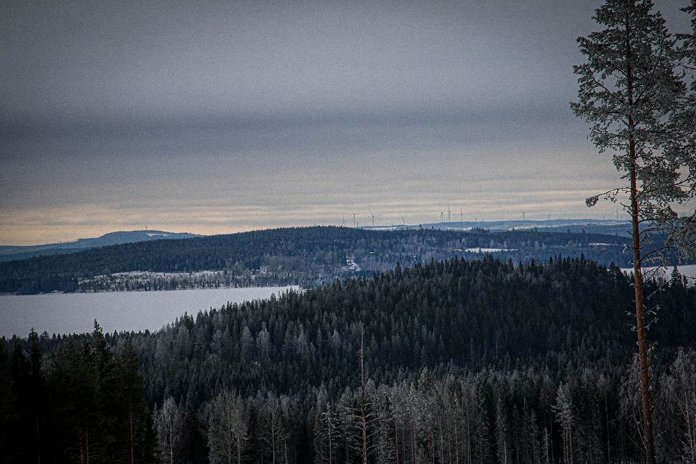 Vindpark i Norrland